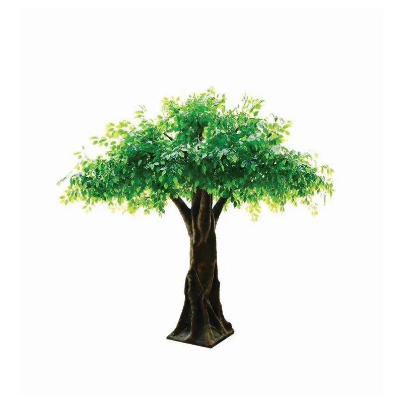 Drzewo Duży Figowiec