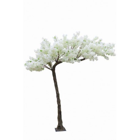 Large White Apple Blossom Tree