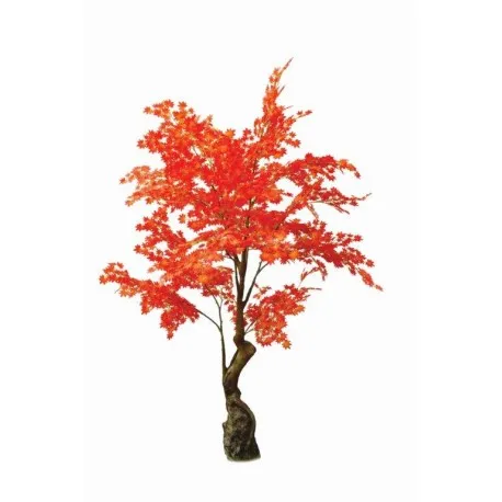 Maple Tree