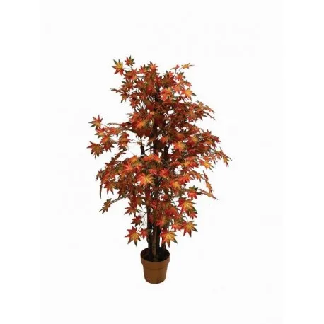 Maple Tree 154 cm