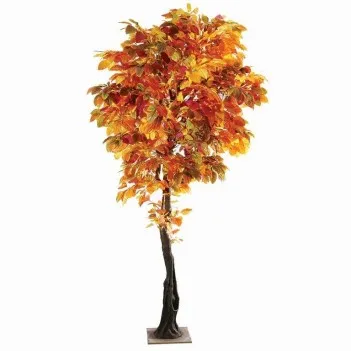 Czerwone jesienne drzewo