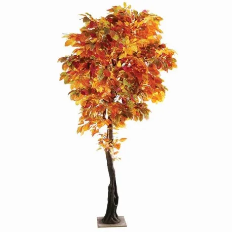 Red Autumn Tree