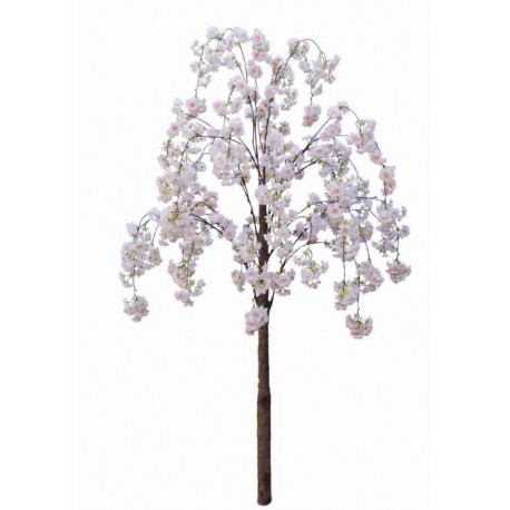 Drzewo Mały biały kwiat wiśni