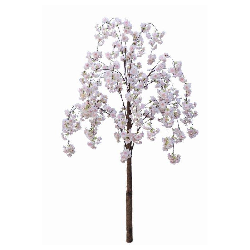 Drzewo Mały biały kwiat wiśni