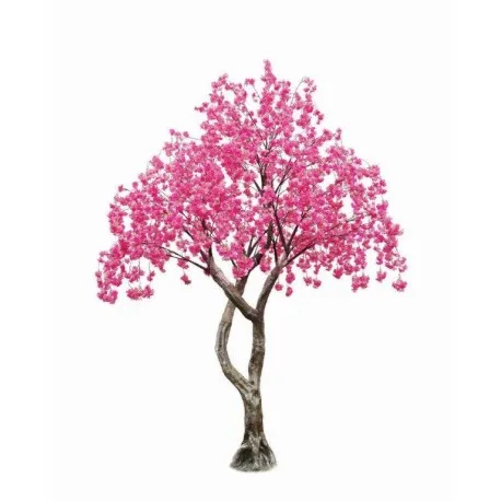 Tree Vibrant Cherry Blossom