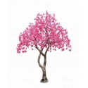 Tree Vibrant Cherry Blossom