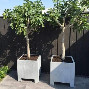 Blumentopf  Vadim VS1