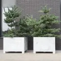 Planters Vadim VS5
