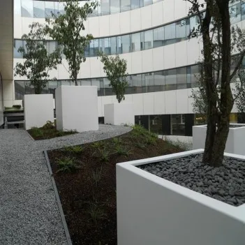 Blumentopf   Florida AFP7