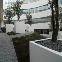 Blumentopf   Florida AFP7