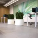 Planters Florida AM9