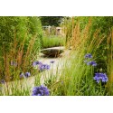 Corten stal Oczko wodne - misa ADWNS6