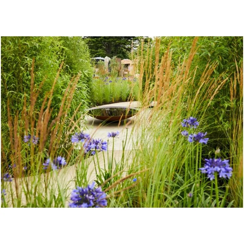 Corten stal Oczko wodne - misa ADWNS3