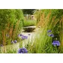 Corten Steel Water Bowl ADWNS2