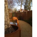 Corten steel pond ADVC9