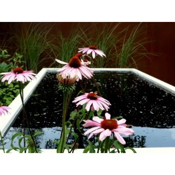 Aluminum pond ADVA10