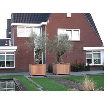 Blumentopf  Valencia HR4