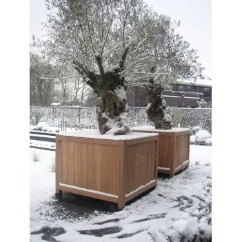 Planters   Valencia HR7