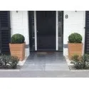 Planters Sevilla HO6