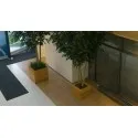 Blumentopf  Sevilla Malaga Rhombus HRS6