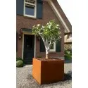 Andes  Blumentopf CA6