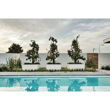Blumentopf   Florida AFP1