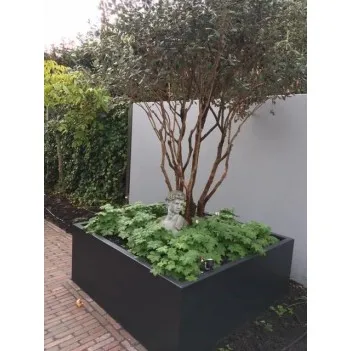 Planters Florida AF3