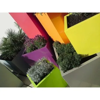 Blumentopf   Florida AF5.2