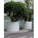 Donica Florida AM3