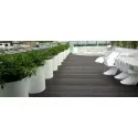 Blumentopf   Florida AM5
