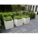 цветочный горшок Buxus PB5