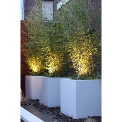 цветочный горшок Buxus PB6