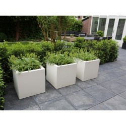 цветочный горшок Buxus PB6