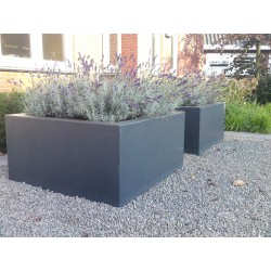 Donica Buxus square ADPB4.2