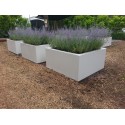 Planters  Buxus square ADPB4.2