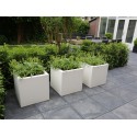 Blumentopf  Buxus square ADPB5