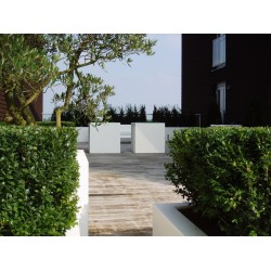 Blumentopf  Buxus square ADPB5.1