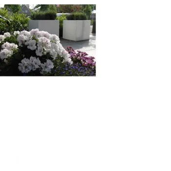 Planters  Buxus square ADPB6