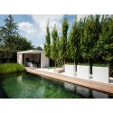 Donica Buxus square ADPB6