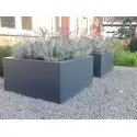 Donica Buxus square ADPB6.2
