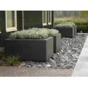 Donica Buxus square ADPB6.2
