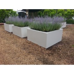 Planters  Buxus square ADPB6.2