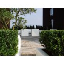 цветочный горшок Buxus square ADPB7