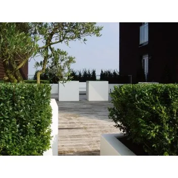 цветочный горшок Buxus square