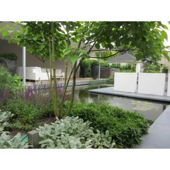 цветочный горшок Buxus square