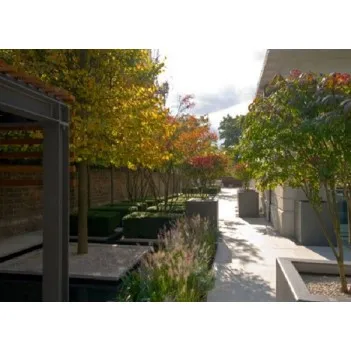 цветочный горшок Buxus square