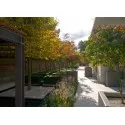 цветочный горшок Buxus square
