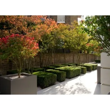 цветочный горшок Buxus square