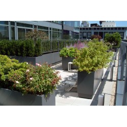 Planters Buxus rectangular ADPB21