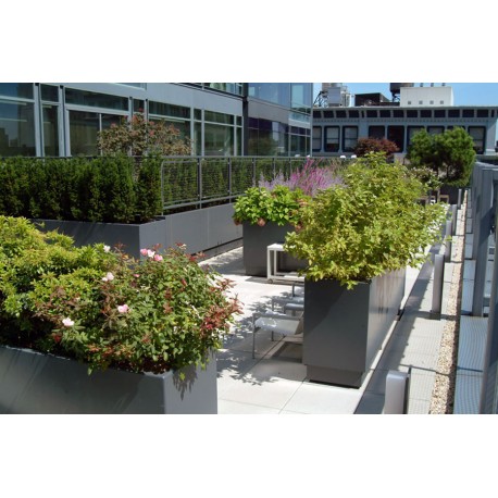 цветочный Buxus rectangular ADPB21